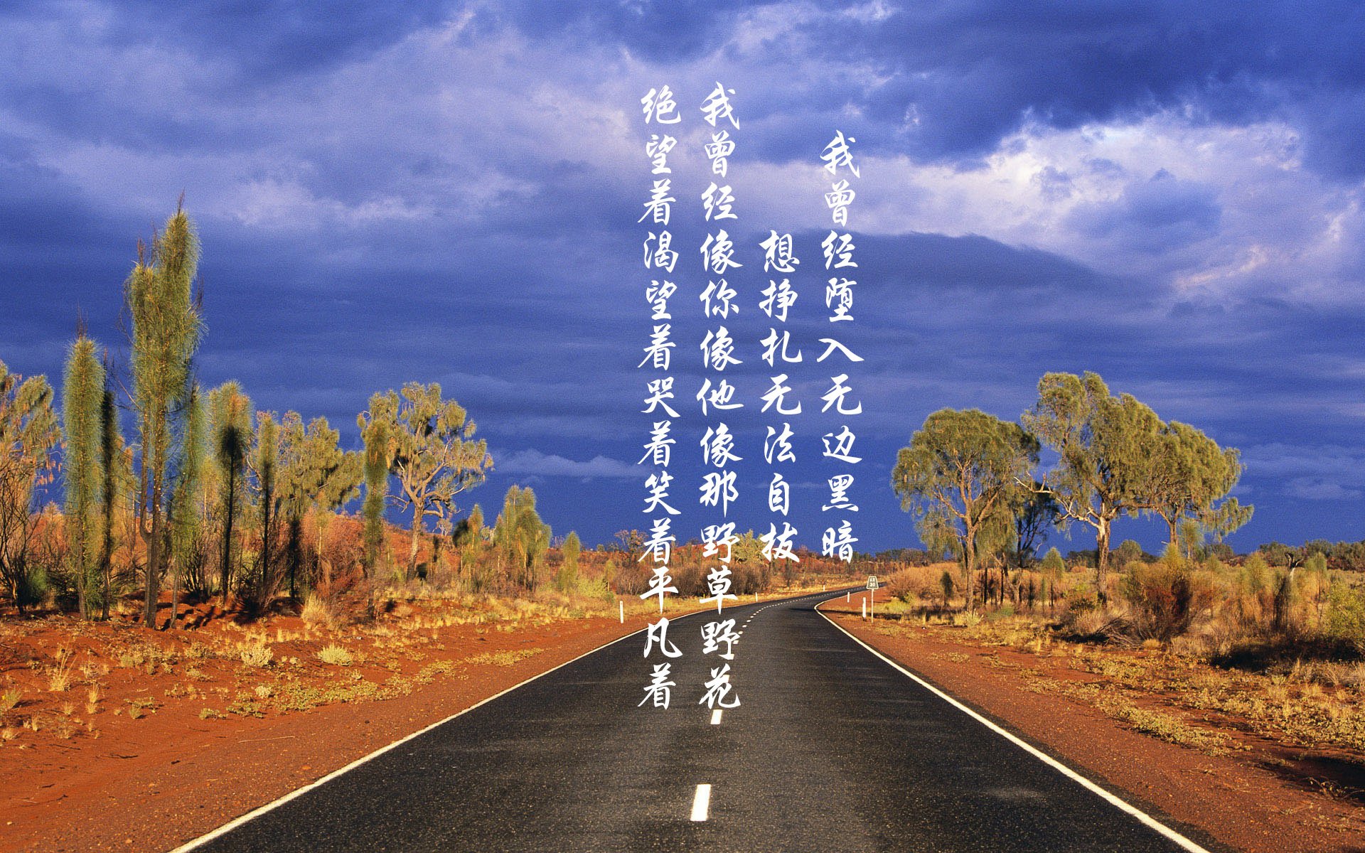 特色沙滩足球嘉年华，阳光沙滩上的激情竞技，沙滩足球网