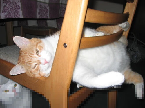 后疫情时代:足球比赛的安全防控措施,足球比赛安全措施方案