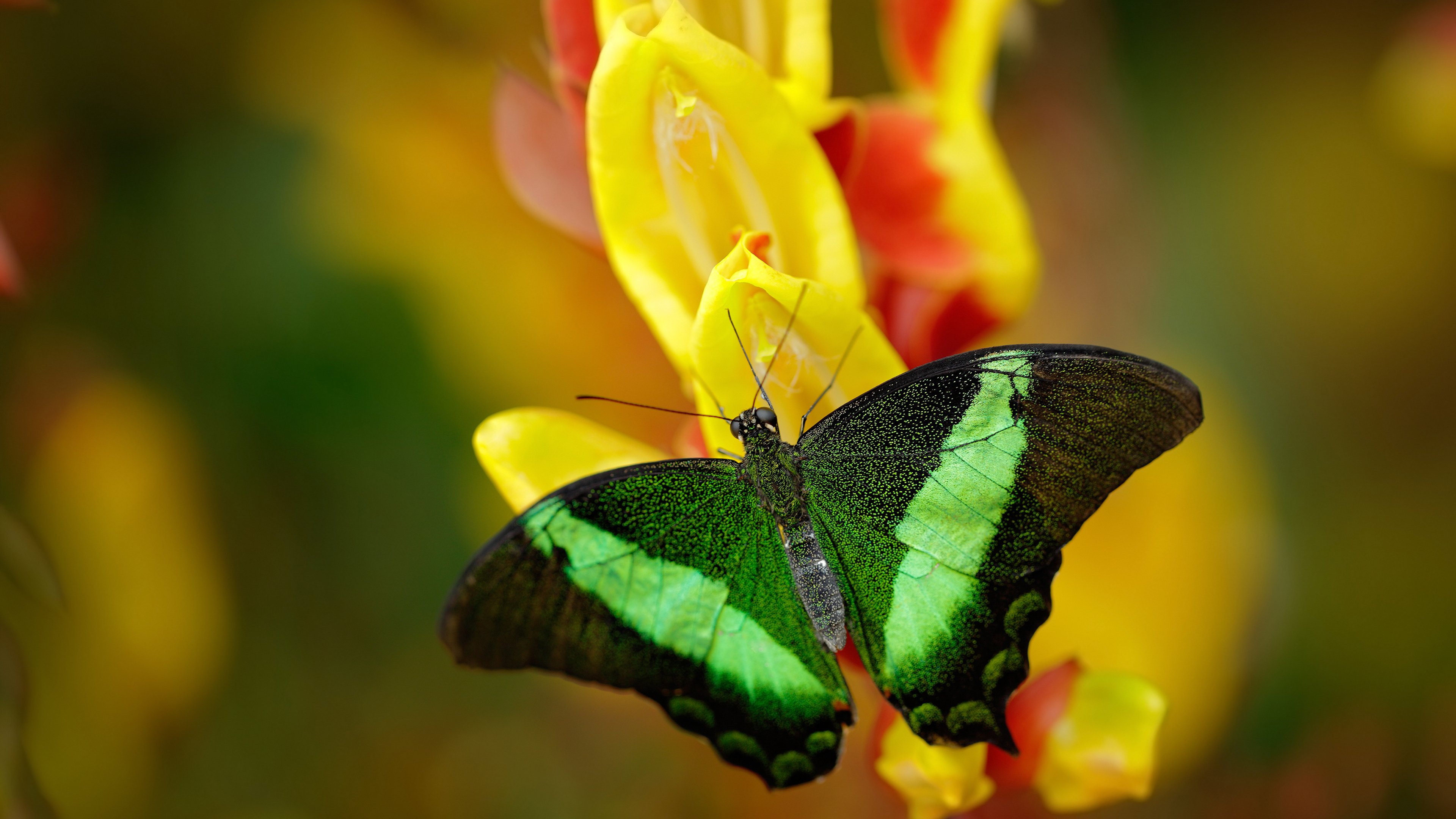 后疫情时代:足球比赛的安全防控措施,足球比赛安全措施方案