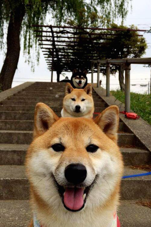 法甲球队通过数据可视化辅助战术决策分析,法甲战况