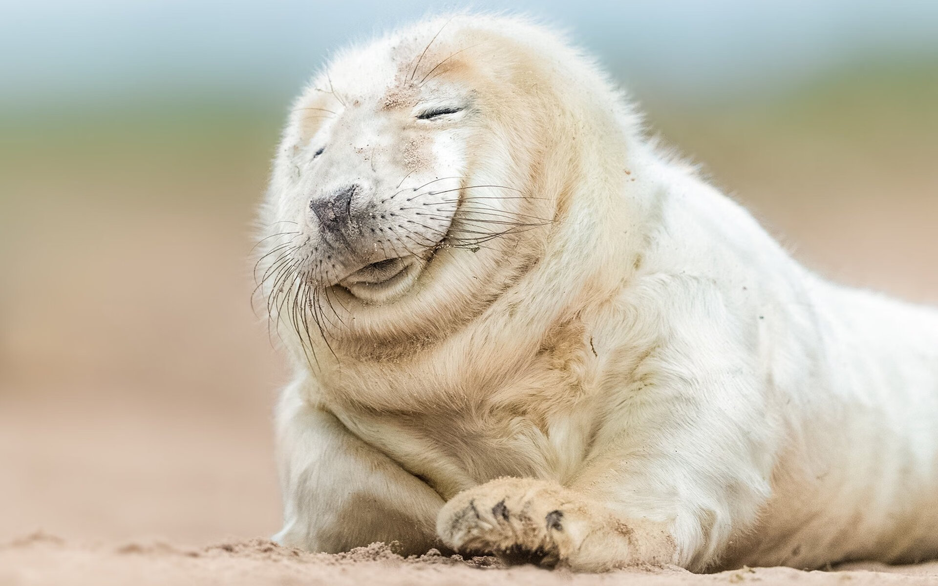 法甲球队通过数据可视化辅助战术决策分析,法甲战况