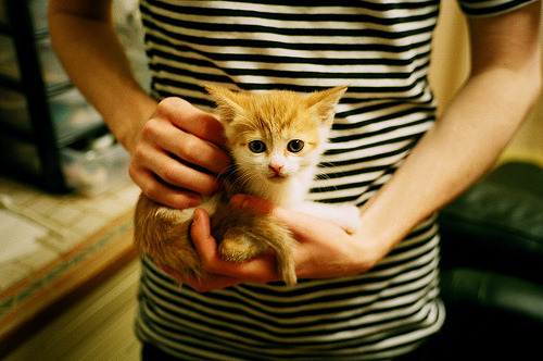 中国女篮多次赢得关键比赛 提升排名,中国女篮最终排名