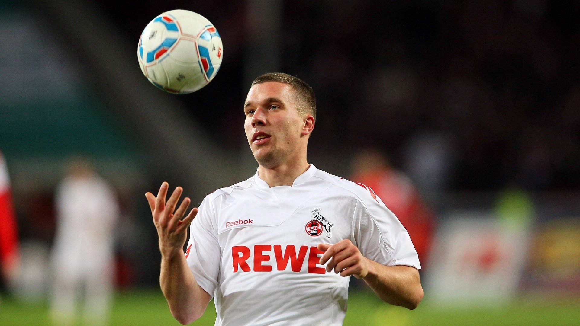 克罗地亚马术协会建立马匹基因数据库，促进马匹选育与训练。，克罗地亚 马可波罗